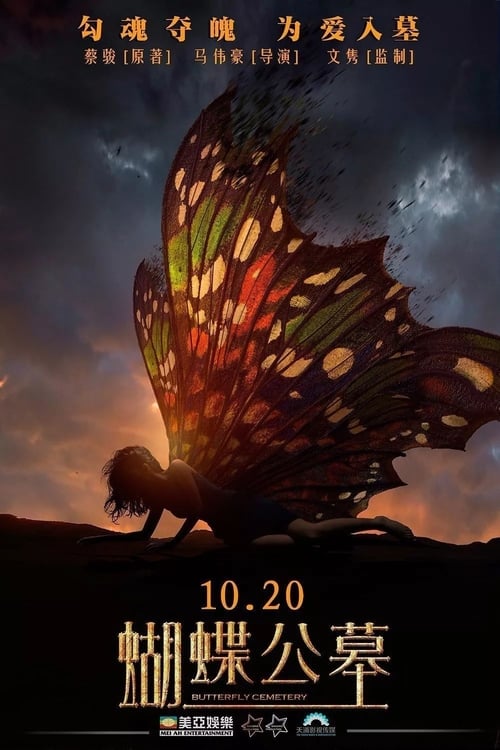 On Fallen Wings - Movie Poster On Fallen Wings - Movie Poster