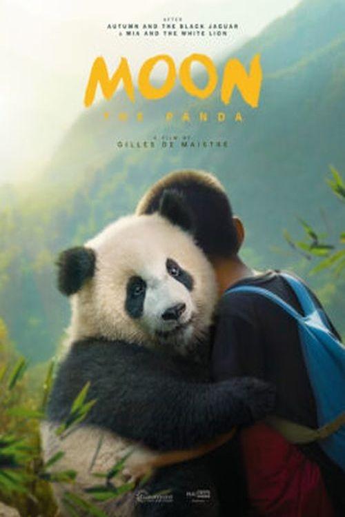 Moon The Panda - Movie Poster Moon The Panda - Movie Poster