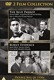 Burnt Evidence - Movie Poster Burnt Evidence - Movie Poster