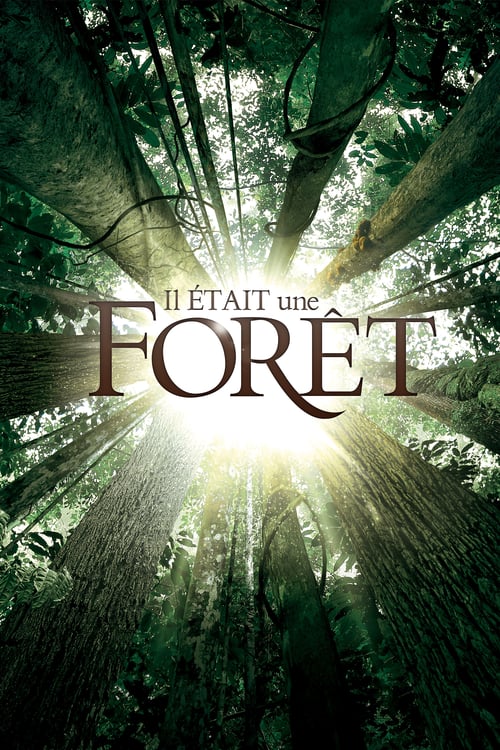 Once Upon a Forest - Movie Poster