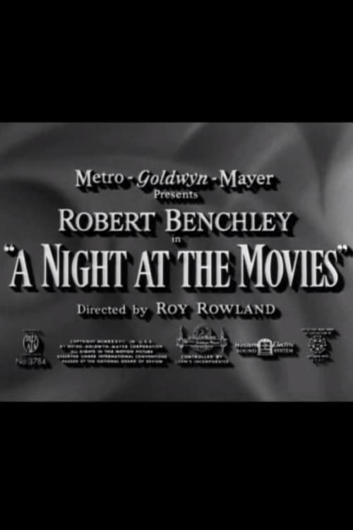 A Night at the Movies - Movie Poster A Night at the Movies - Movie Poster