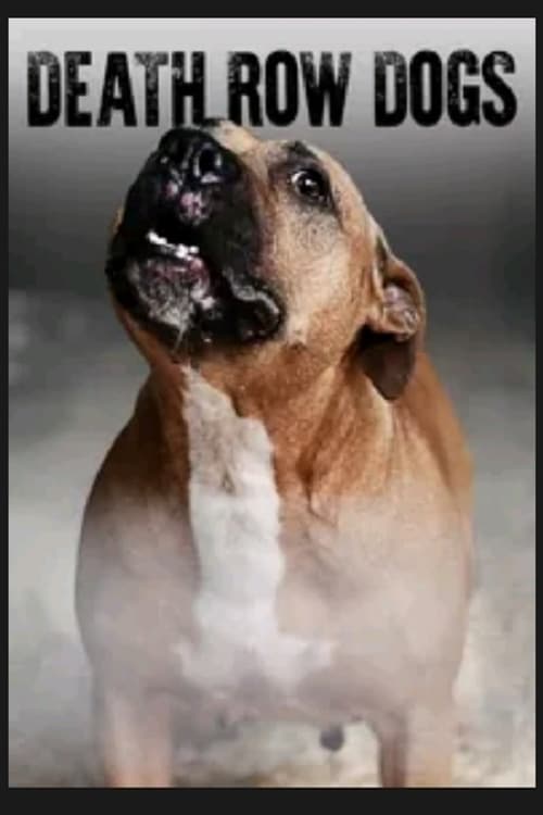 Death Row Dogs - Movie Poster Death Row Dogs - Movie Poster