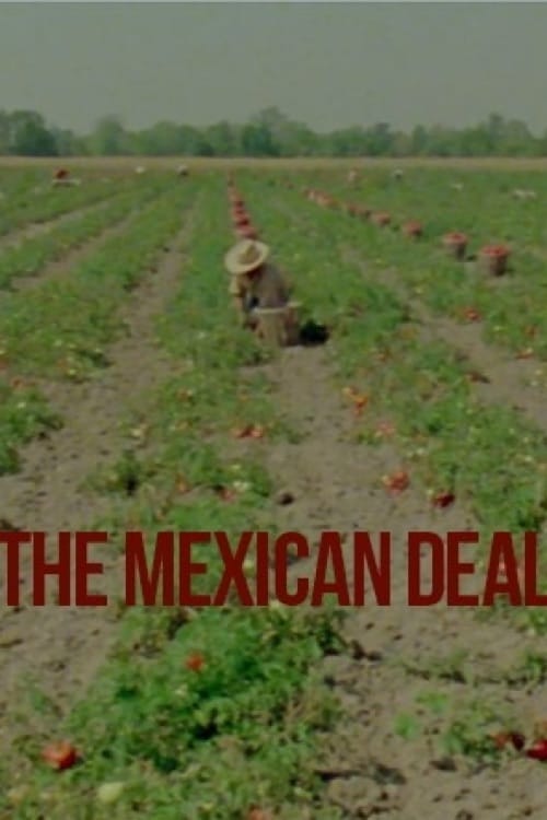 Le Deal mexicain - Movie Poster Le Deal mexicain - Movie Poster