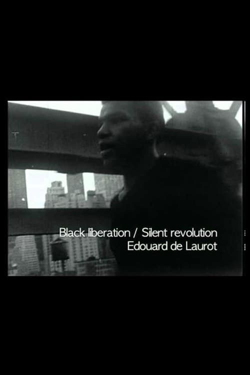 The Silent Revolution - Movie Poster