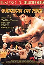 Enter Three Dragons - Movie Poster