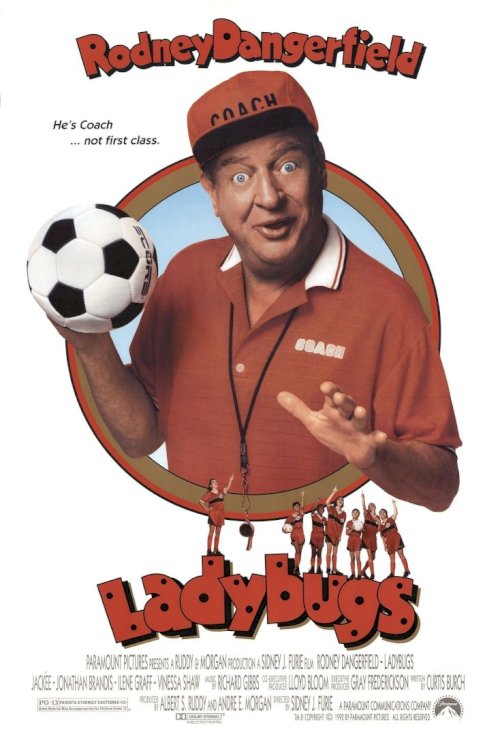 LadyBugs - Movie Poster LadyBugs - Movie Poster