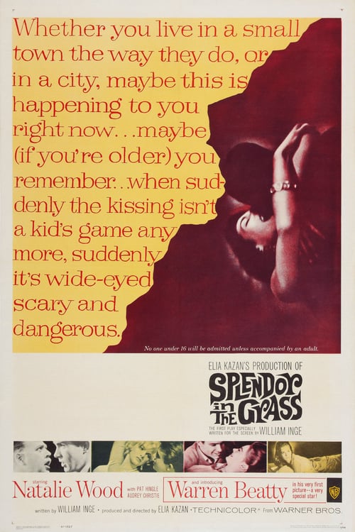Splendor in the Grass - Movie Poster Splendor in the Grass - Movie Poster