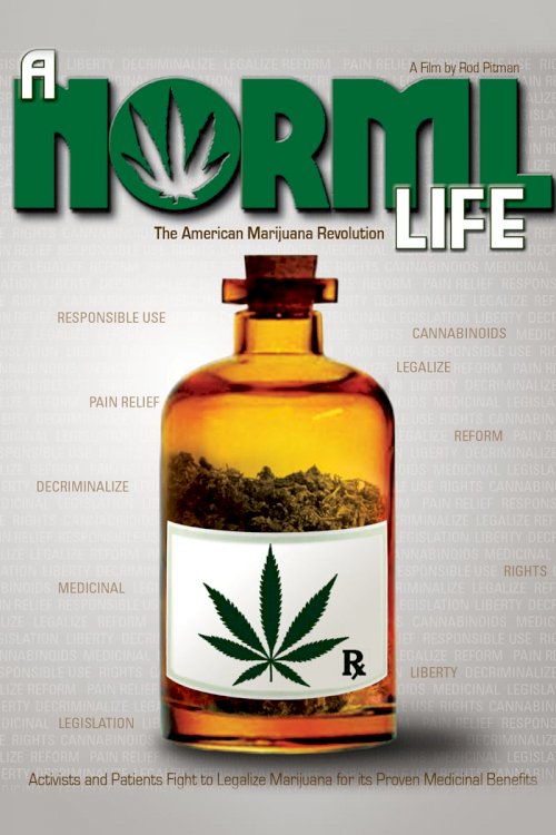 A Norml Life - Movie Poster A Norml Life - Movie Poster
