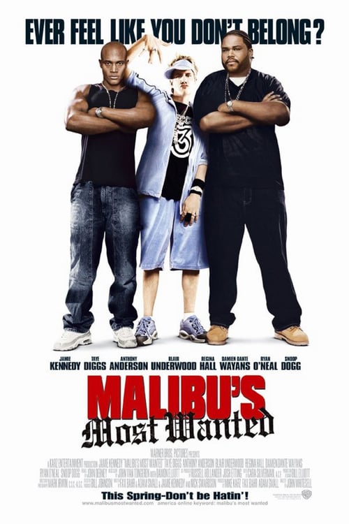 Malibu's Most Wanted - Movie Poster Malibu's Most Wanted - Movie Poster