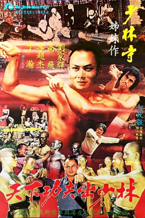 Fury in Shaolin Temple - Movie Poster