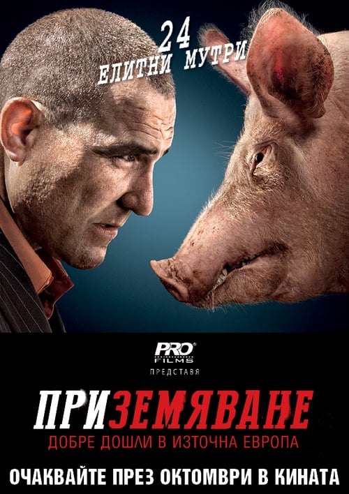 Redirected - Movie Poster Redirected - Movie Poster