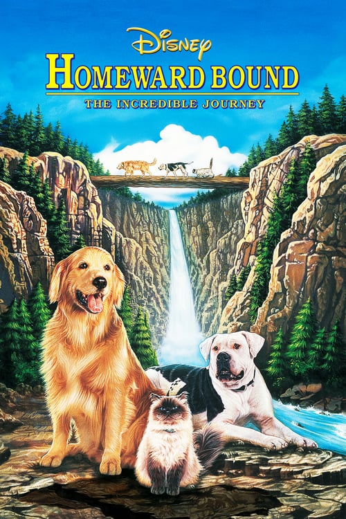Homeward Bound: The Incredible Journey - Movie Poster Homeward Bound: The Incredible Journey - Movie Poster