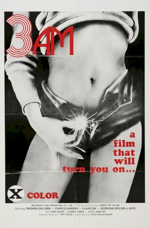 3 A.M. - Movie Poster 3 A.M. - Movie Poster