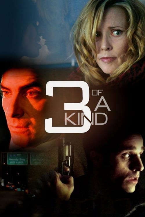 3 of a Kind - Movie Poster 3 of a Kind - Movie Poster