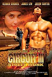 The Circuit III: Final Flight - Movie Poster The Circuit III: Final Flight - Movie Poster