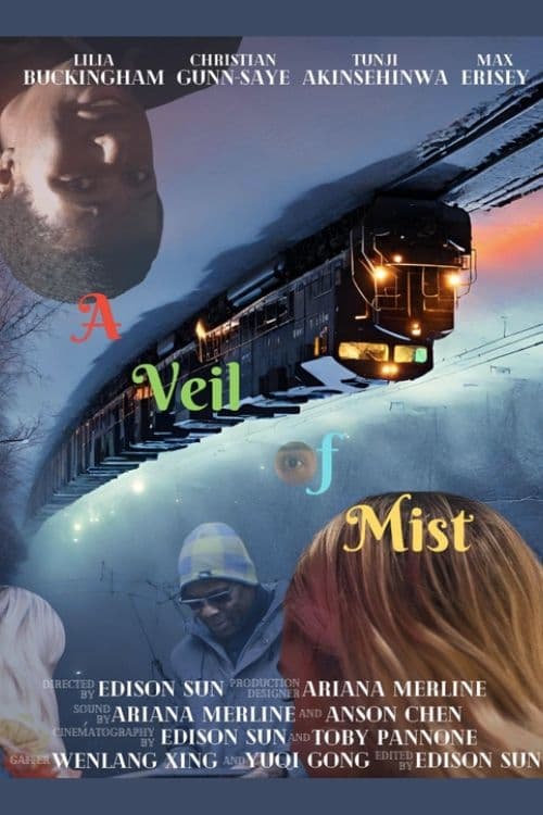 A Veil of Mist - Movie Poster A Veil of Mist - Movie Poster