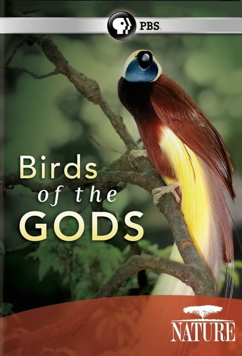 Birds of the Gods - Movie Poster Birds of the Gods - Movie Poster