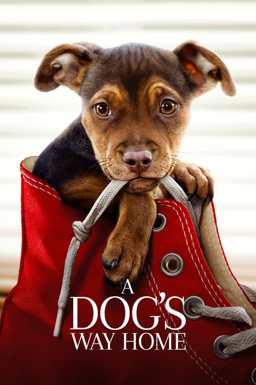 A Dog's Way Home - Movie Poster A Dog's Way Home - Movie Poster