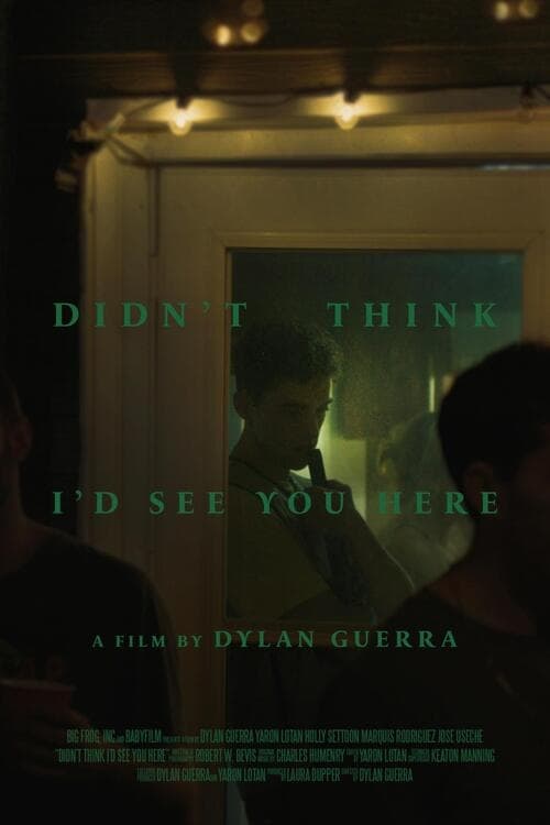 Didn't Think I'd See You Here - Movie Poster Didn't Think I'd See You Here - Movie Poster