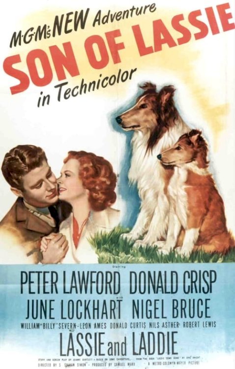Son of Lassie - Movie Poster Son of Lassie - Movie Poster