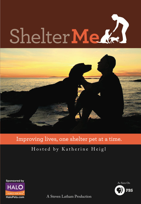 Shelter Me - Movie Poster