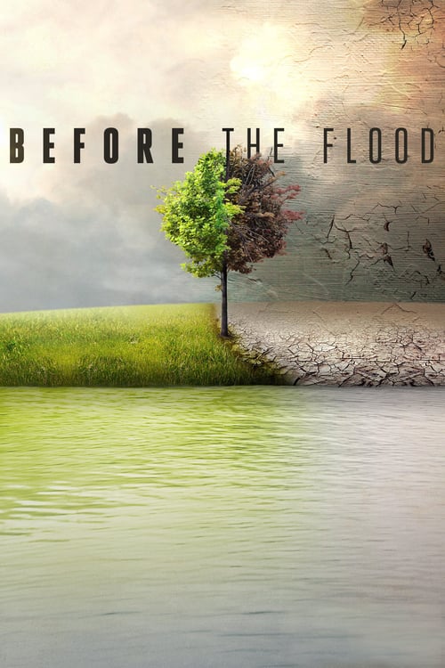 Before the Flood - Movie Poster Before the Flood - Movie Poster