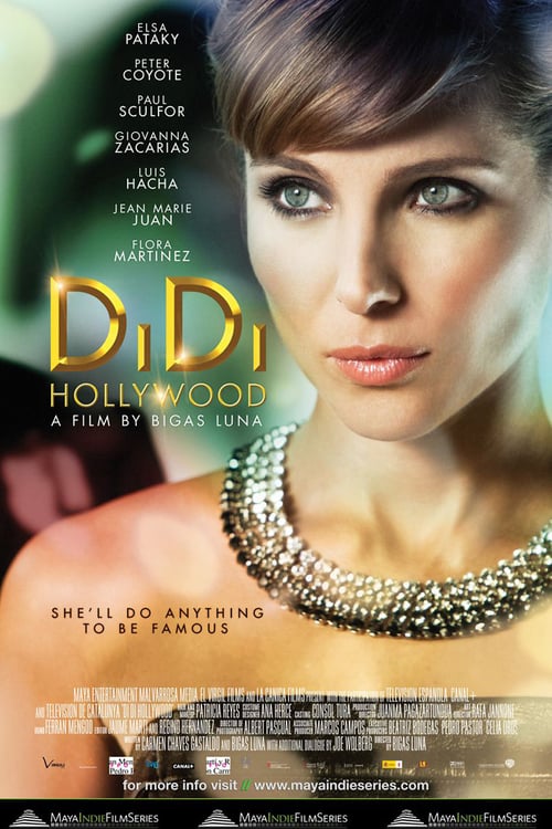 DiDi Hollywood - Movie Poster DiDi Hollywood - Movie Poster