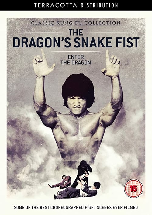 The Dragon's Snake Fist - Movie Poster