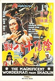 Magnificent Wonderman - Movie Poster Magnificent Wonderman - Movie Poster
