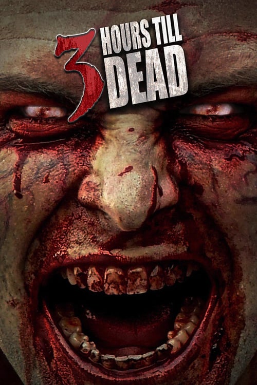 3 Hours till Dead - Movie Poster 3 Hours till Dead - Movie Poster