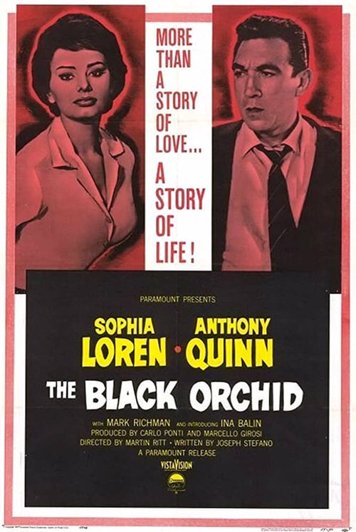 The Black Orchid - Movie Poster The Black Orchid - Movie Poster