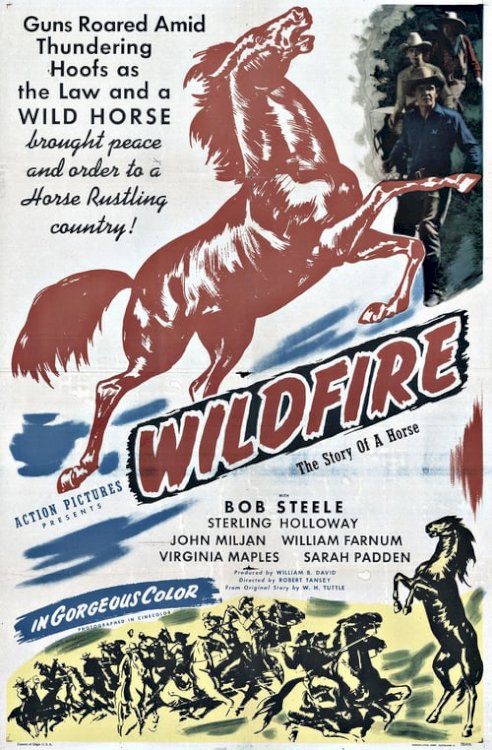 Wildfire - Movie Poster Wildfire - Movie Poster