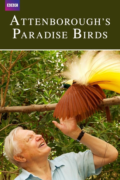 Attenborough's Paradise Birds - Movie Poster Attenborough's Paradise Birds - Movie Poster