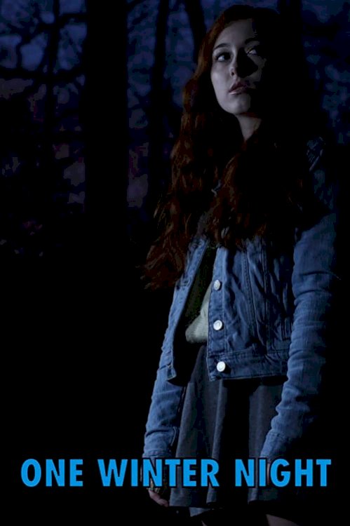 One Winter Night - Movie Poster One Winter Night - Movie Poster
