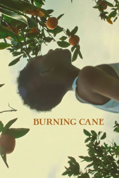 Burning Cane - Movie Poster