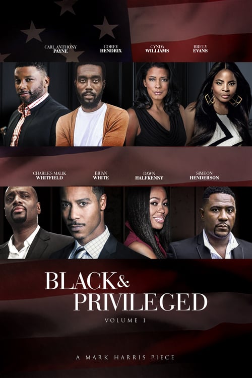 Black & Privileged: Volume 1 - Movie Poster Black & Privileged: Volume 1 - Movie Poster
