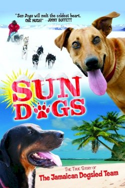 Sun Dogs - Movie Poster