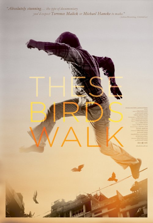 These Birds Walk - Movie Poster These Birds Walk - Movie Poster