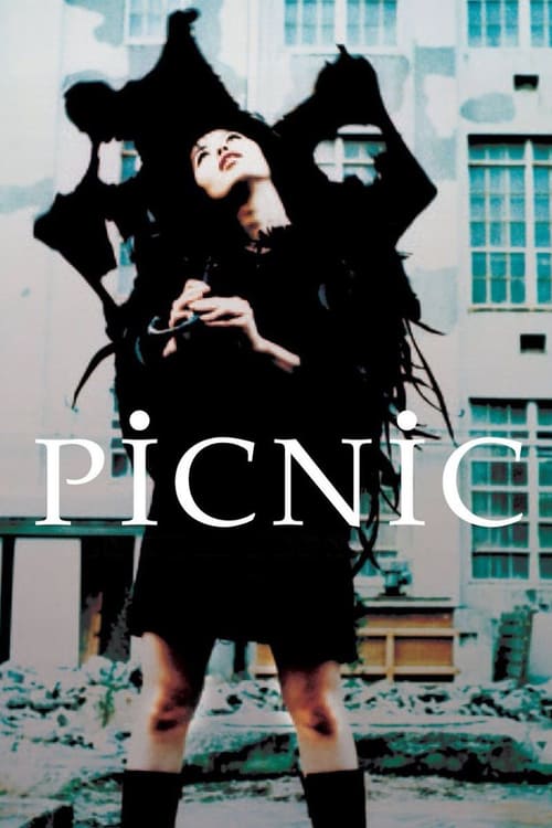 Picnic - Movie Poster