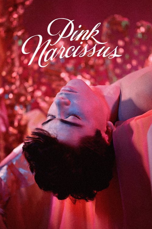 Pink Narcissus - Movie Poster Pink Narcissus - Movie Poster
