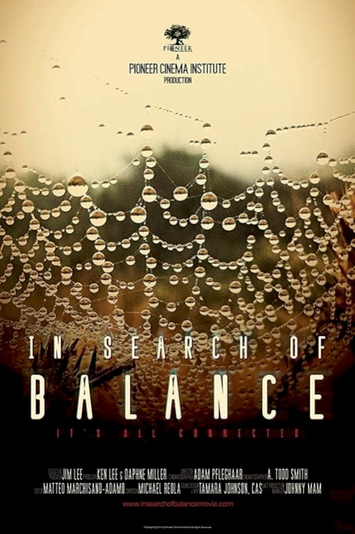 In Search of Balance - Movie Poster