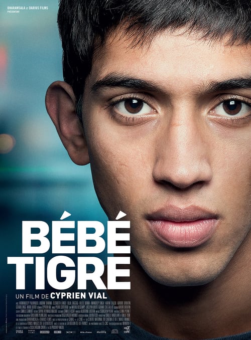 Young Tiger - Movie Poster Young Tiger - Movie Poster