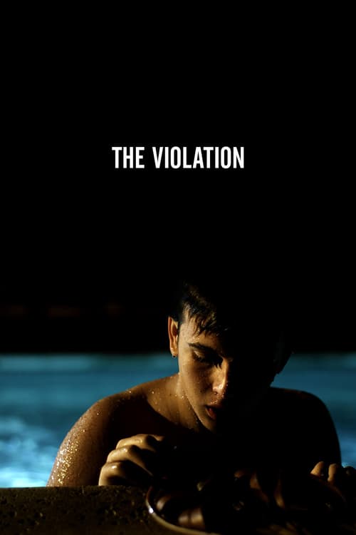 The Violation - Movie Poster The Violation - Movie Poster