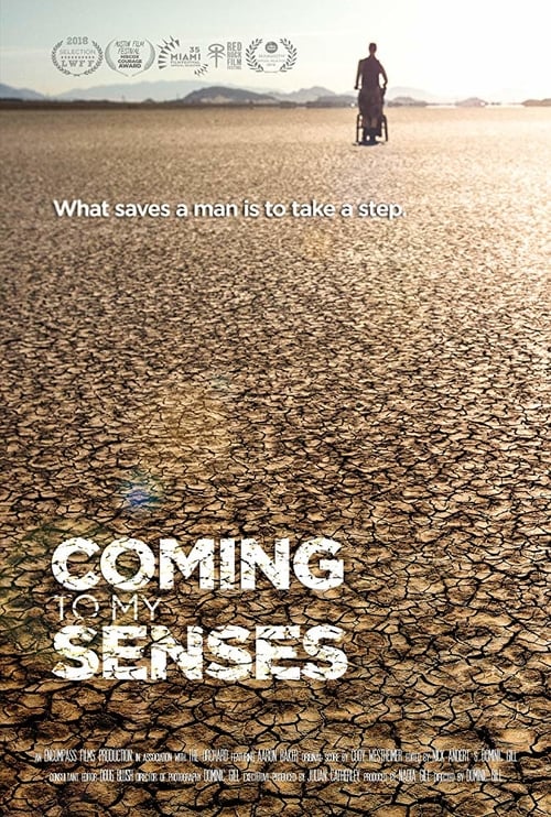 Coming To My Senses - Movie Poster Coming To My Senses - Movie Poster
