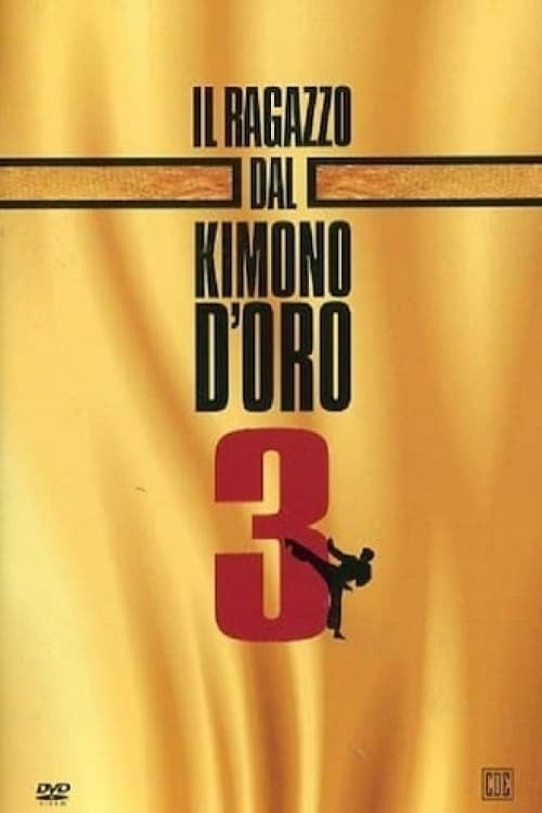 Karate Warrior 3 - Movie Poster Karate Warrior 3 - Movie Poster