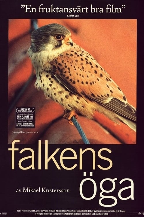 Kestrel's Eye - Movie Poster