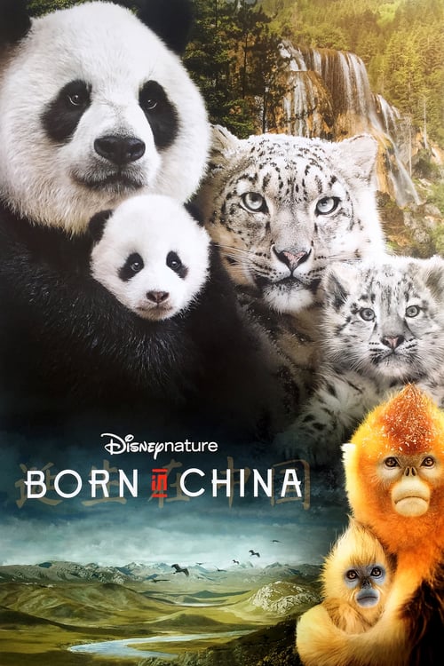 Born in China - Movie Poster Born in China - Movie Poster