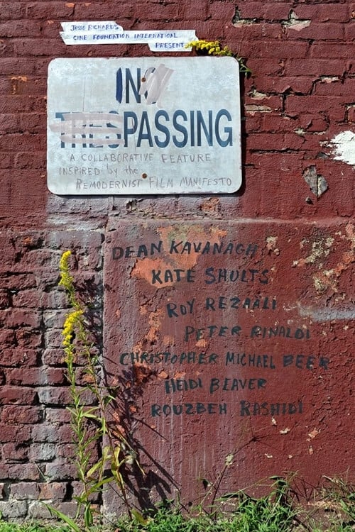 In Passing - Movie Poster In Passing - Movie Poster