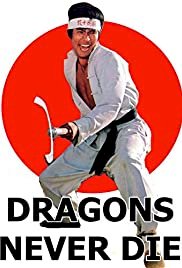Kung Fu 10th Dan - Movie Poster Kung Fu 10th Dan - Movie Poster