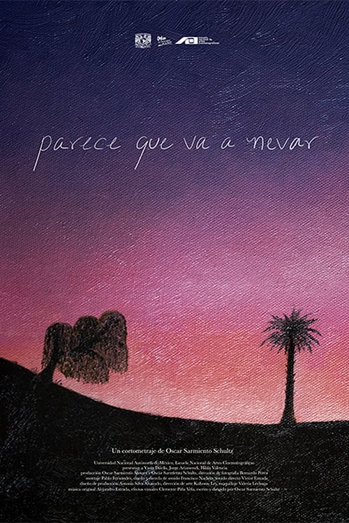 Parece que va a nevar - Movie Poster Parece que va a nevar - Movie Poster